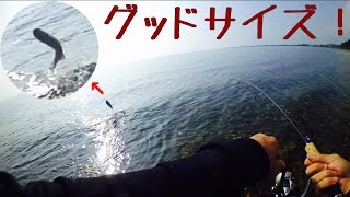 夏のバス釣り！超釣れるワームでグッドサイズ【おかっぱり】