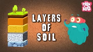 Layers Of Soil - The Dr. Binocs Show | Best Learning s For Kids | Peekaboo Kidz