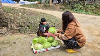 Poor Little Girl - Picking Cabbages to Sell and Making Cabbage Rolls and Taking Care of Vegetables