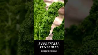 5 perennial vegetables to grow! #garden #gardening #homestead #homesteading #plants #planting