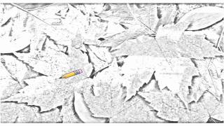 Auto Draw 2: Colorful Maple Leaves
