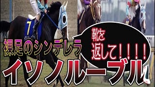 【競馬】裸足のシンデレラ　イソノルーブルっていう名馬知ってる？