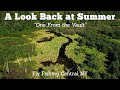 One From the Vault - A Look Back at Summer (Wild Trout Central NY Fly Fishing)