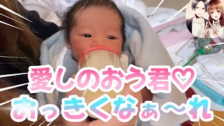 【生後12日目】ミルクを飲む姿が可愛すぎるおう君