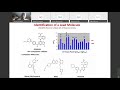 Lead Selection and Optimization by Medicinal Chemistry