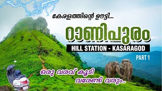 റാണിപുരം l Ootty of Kerala l Ranipuram Hills l Kasaragod