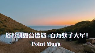 LA海边露营遭遇百万蚊子大军🤣Camping @ Point Mugu｜Chinese Food Potluck Camping