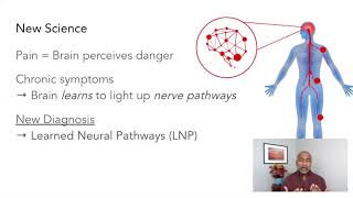 The Science of Pain Reversal | Dr. Les Aria