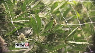 State lawmakers pushing for legal pot hear from Colorado House Speaker
