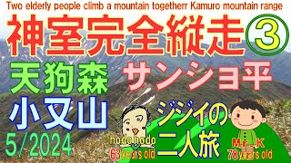 神室完全縦走③天狗森・小又山・サンショ平 ジジイの二人旅 hodohodo 63 years old2024/5Two elderly people climb a mountain together