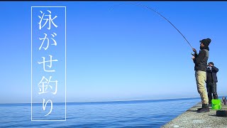 冬の堤防釣りはやっぱりアジの泳がせ釣りが最強だった！