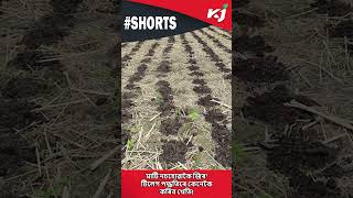 মাটি নচহোৱাকৈ Zero tillage পদ্ধতিৰে  কৰিব পাৰি খেতি! Zero tillage farming Style। New farming Method