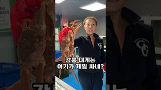 강릉 대게는 여기가 제일 싸네?😲 #최대게 #강릉맛집 #강릉데이트 #대게맛집