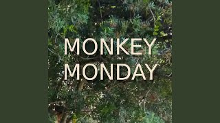 Monkey Monday