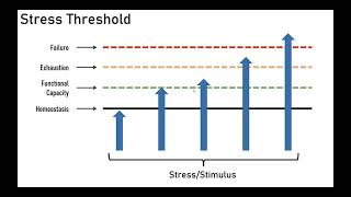 Program Design 1 - Frequency and Split