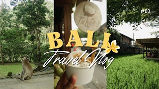 monkey forest, atv, & ubud art market 🐒🌾🥥 | bali vlog #03