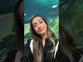 A day in the life of a Professional Mermaid 🧜‍♀️ #professionalmermaid #mermaid #aquarium