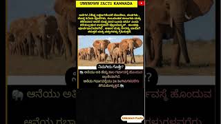 ಆನೆ ಬಗ್ಗೆ ನಿಮಗೆ ಎಷ್ಟು ಗೊತ್ತು? #elephant #information #viralshort #trending #gk #everyday #karnataka