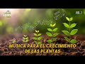 ⭐has esto para que tus plantas crezcan fuertes y grandes mÚsica para plantas 🌳 vol. 1