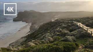 Walking the Cape of Good Hope, South Africa - 4K Walking Video