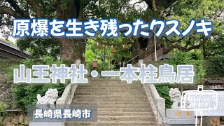 【山王神社・一本足鳥居】原爆を生き残ったクスノキ