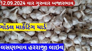 આજના લસણ ના બજાર ભાવ ગોંડલ | lahsun ka bhav Gondal | Gondal market yard na bajar bhav 12/09/2024