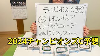 2024年チャンピオンズカップガチ予想！本命1番人気、対抗単穴は外国人騎手で勝負！