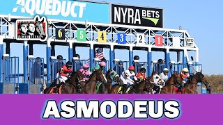 ASMODEUS Breaks Maiden At Aqueduct | Bill Morey Trainee Progresses With Win; Stakes Race Next?