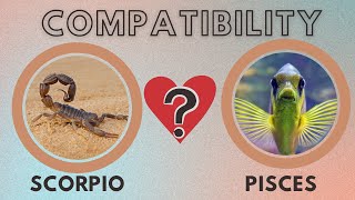 Scorpio and Pisces Compatibility: An Emotional Rollercoaster?