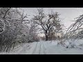 relax. sounds of nature unbelievable winter come Звуки природи Неймовірна Зима Настала