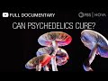 Can Psychedelics Cure? | Full Documentary | NOVA | PBS