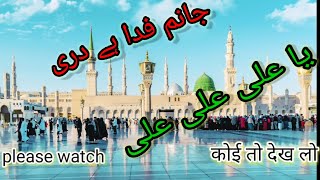 जनम फ़िदा ए है दारी या अली अली अली || Islamic video || Makkah and madina || Naat