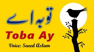 Poetry Toba Ay | Saeed Aslam | Punjabi Shayari Whatsapp Status videos Punjabi Poetry