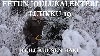 Eetun joulukalenteri: Luukku 19 Joulukuusen haku