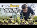 Observe and Interact | Ultimate Gardening Skills Series