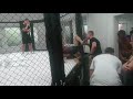 alexander hlybko vs. sven fortenbacher shooto contenders mma