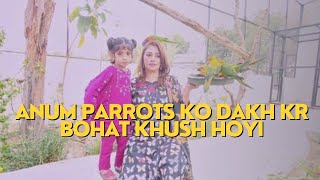 Simba kingdom Karachi mai parrots ne mujh par Hamla krdiya 😫 tote ko mujhse pyar hogya 😂