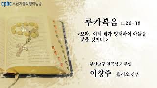 오늘의 강론(2022.12.20) - 부산교구 천곡성당 주임 이창주 율리오 신부님