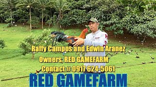 Lets Visit The Farm Of Red Gamefarm