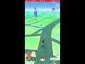 ポケgoで1週間で52.5km歩いたリワードの結果！