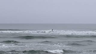 LONGBOARD SURFING SHIMANE 2025/2/1