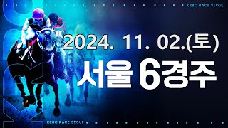 (서울) 2024.11.02 6경주