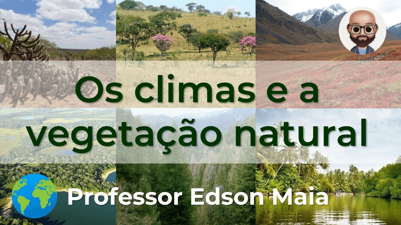 Os Climas E A Vegetação Natural - YouTube