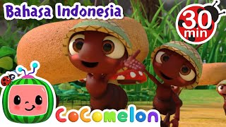 Download Lagu Semut Kecil Pergi Berbaris CoComelon Indonesia Lag... MP3 Gratis
