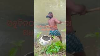 ଆଜି ଅଧିକ ମାଛ 🐠 #fishing #music #viralvideo #youtubeshorts #ytshorts