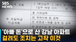 '아빠 돈'으로 산 강남 아파트…걸려도 조치는 고작 이것 / SBS