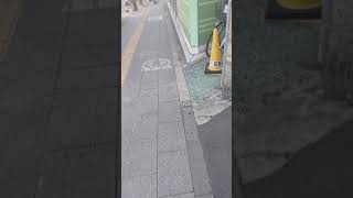 自転車道路じゃないぜ(2)