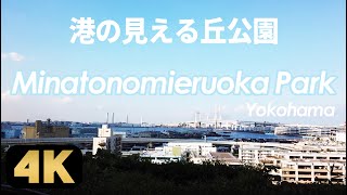 快晴の港の見える丘公園を散策！フランス山や沈床花壇を歩き、展望台から横浜ベイブリッジを眺める[4K]