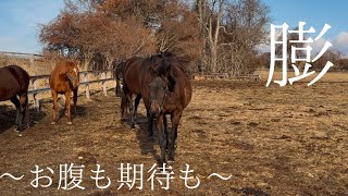 ますますお腹がふっくらと🍁🍁〜出産予定が早いマダムたち〜