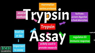 Trypsin Assay | Trypsin Digestion | Protease Activity Assay | Protein Digestion By Trypsin |